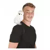Bílý kouzelnický sova