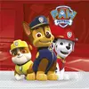 20 papírových ubrousků Paw Patrol Ready for Action 33 × 33 cm