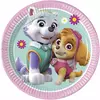8 malých papírových talířů Paw Patrol Skye and Everest 20 cm