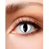 Kontaktní čočky Cat eye 3 měsíce pro dospělé