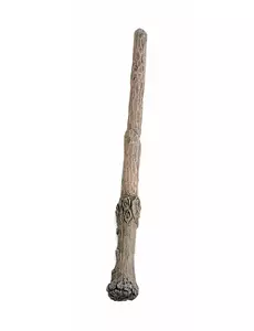 Harry Potter – kouzelnická hůlka