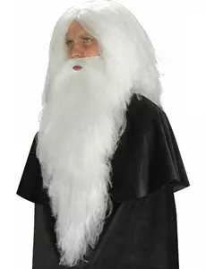 Dlouhý bílý vous pro dospělé