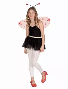 Dětská sada křídel berušky a čelenky