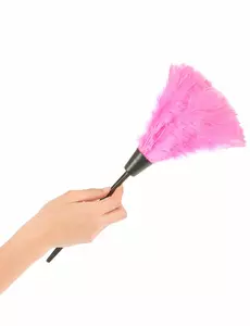 Růžová péřová prachovka