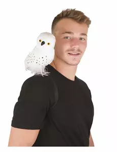 Bílý kouzelnický sova