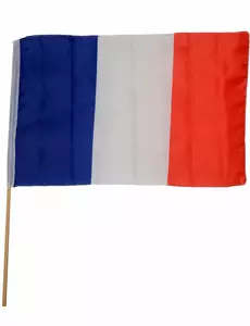 Vlajka fanoušků Francie