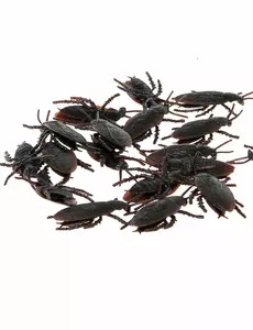 12 černých švábů 6 cm Halloween