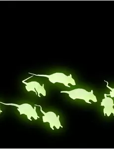12 černých a fosforeskujících krys 4 cm Halloween