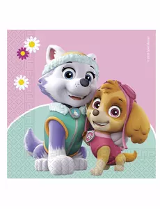 20 papírových ubrousků Paw Patrol Skye and Everest 33 × 33 cm