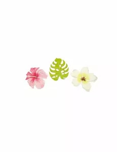 9 dřevěných konfet tropické květy a listy 3,8 cm