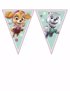 Praporková girlanda Paw Patrol Skye and Everest (9 praporků)