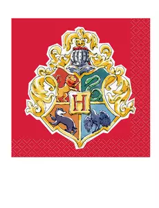 16 malých ubrousků Harry Potter 25 × 25 cm