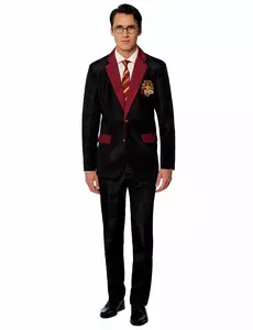 Kostým Mr. Gryffindor Suitmeister pro dospělé, Velikost: Small (EU 44-46)