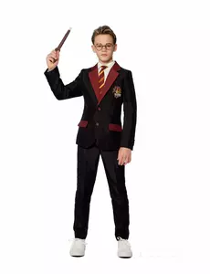 Dětský kostým Mr. Gryffindor Suitmeister, Velikost: 8-10 let (122-128cm)