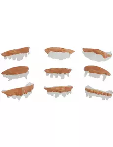 9 strašidelných halloweenských zubů