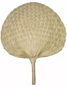 Přírodní vějíř