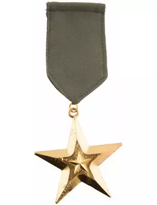 Vojenská medaile