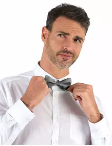 Stříbrný motýlek pro dospělé