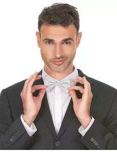 Bílý motýlek