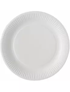 100 bílých papírových talířů 23 cm