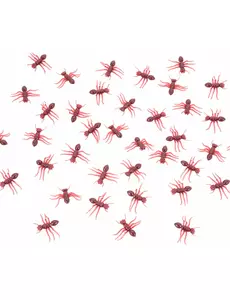 20 červených mravenců 3 cm