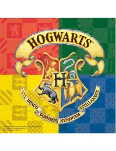 20 papírových ubrousků Harry Potter 33 x 33 cm