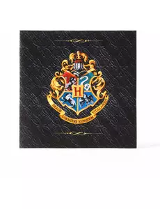 20 Harry Potter papírových ubrousků 33 × 33 cm