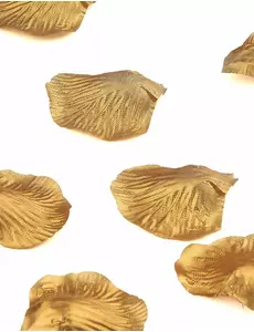 50 zlatých metalických okvětních lístků