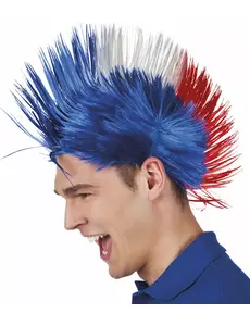 Punk paruka Francie
