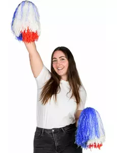 Pompon fanouška Francie