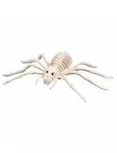 Kosterní pavouk 35 cm
