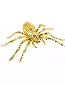 Zlatý kosterní pavouk 12,5 × 20,5 cm