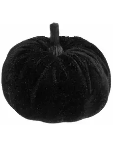 Černá sametová dýně 7 cm