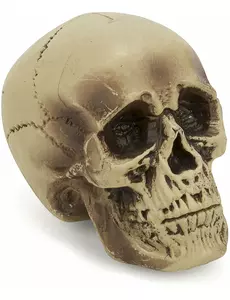 Plastová dekorace lebky 18 cm