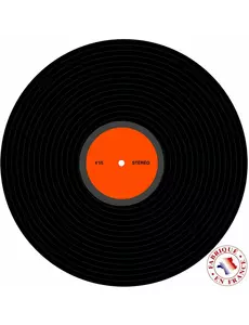 Disco dekorace vinylová deska 30 cm