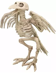 Dekorace kostlivec vrány 19.5cm Halloween