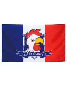 Vlajka fanoušků Allez France 90 x 150 cm
