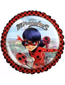 Malý hliníkový balónek Ladybug 23 cm