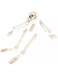 12dílný Halloween pytel kostí