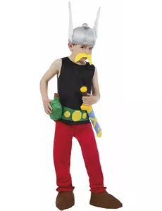 Dětský kostým Asterixe – Asterix a Obelix, Velikost: 5-6 let (116 cm)