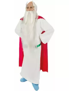Kostým druida Panoramixe pro dospělé – Asterix a Obelix, Velikost: Large
