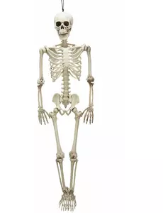 Kloubová kostra 90 cm Halloween