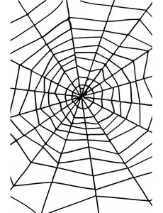 Halloweenská pavučina 1.5m