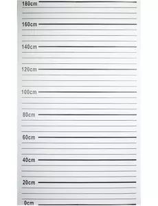 Plátno „Police arrest“ 180 x 110 cm