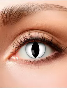 Kontaktní čočky Cat eye 3 měsíce pro dospělé