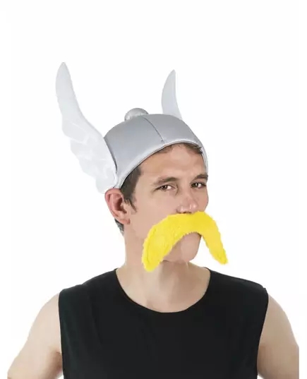 Helma Asterixe pro dospělé – Asterix a Obelix