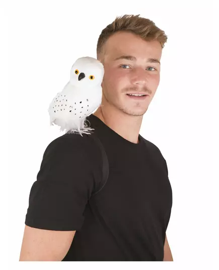 Bílý kouzelnický sova