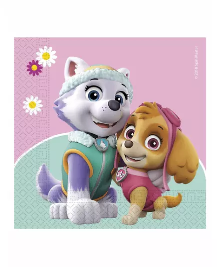 20 papírových ubrousků Paw Patrol Skye and Everest 33 × 33 cm