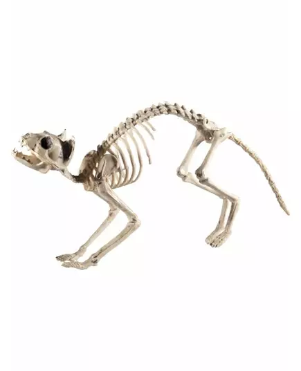 Dekorace kočka kostlivec Halloween
