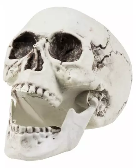 Dekorace lebka 24 x 18 cm Halloween